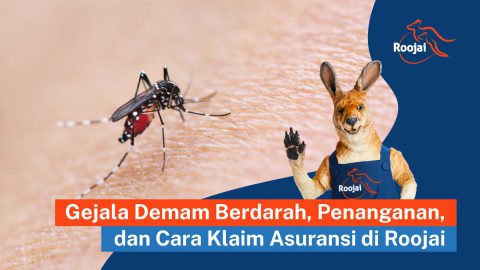 Gejala Demam Berdarah, Penanganan, dan Cara Klaim Asuransi | roojai.co.id